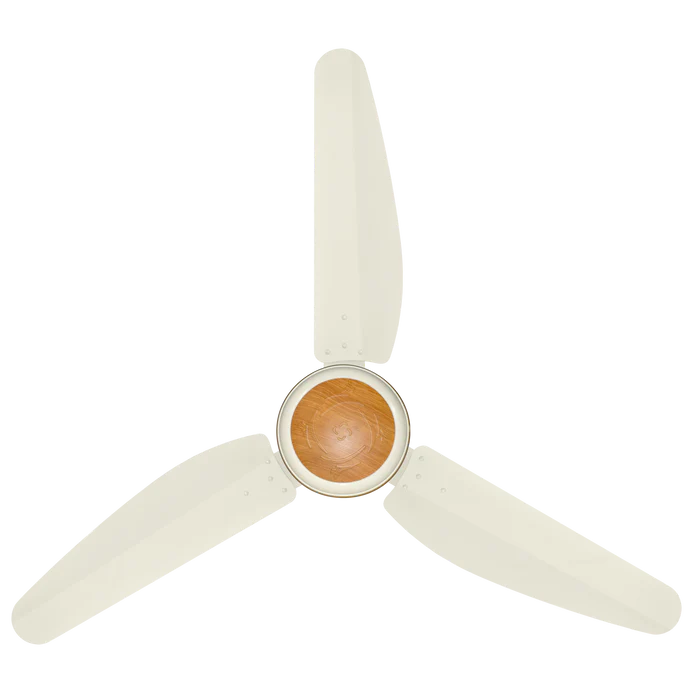 Executive Model | AC/DC Celling