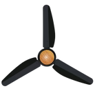 Executive Model | AC/DC Celling