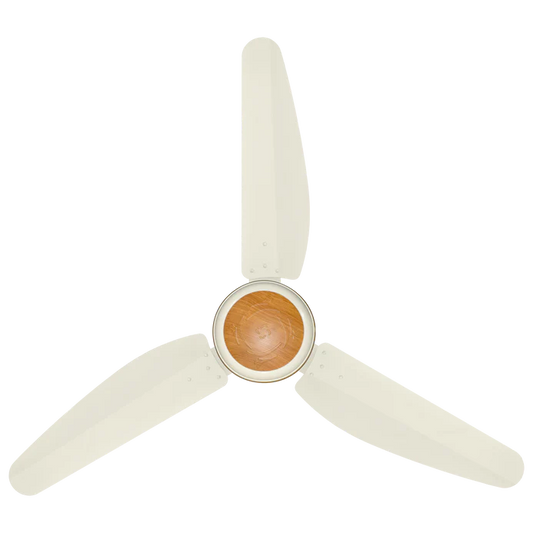 Executive Model | AC/DC Celling
