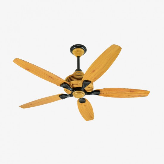 Penta Model Ceiling Fan