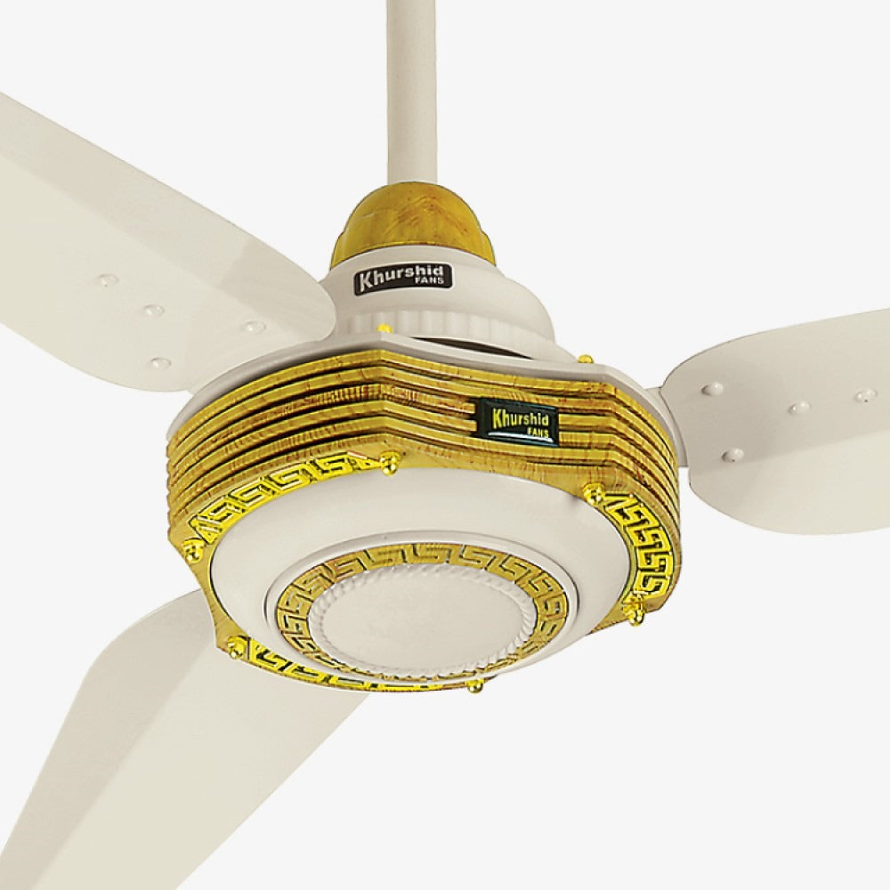 Tricon Model AC-DC Inverter Ceiling Fan